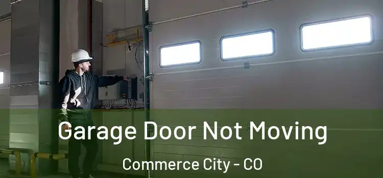  Garage Door Not Moving Commerce City - CO