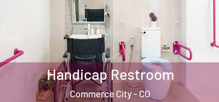  Handicap Restroom Commerce City - CO